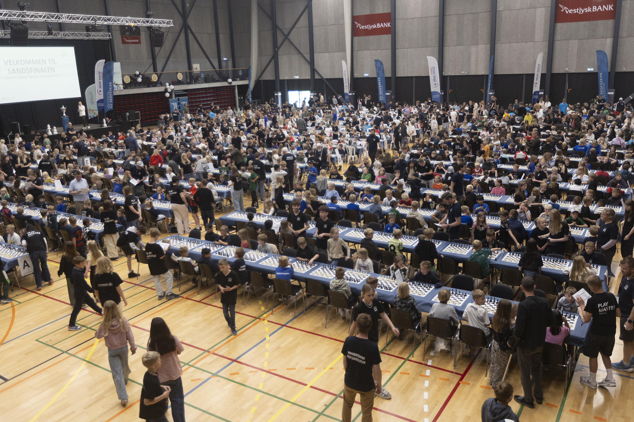 You are currently viewing Landsfinalen i Skolernes Skakdag