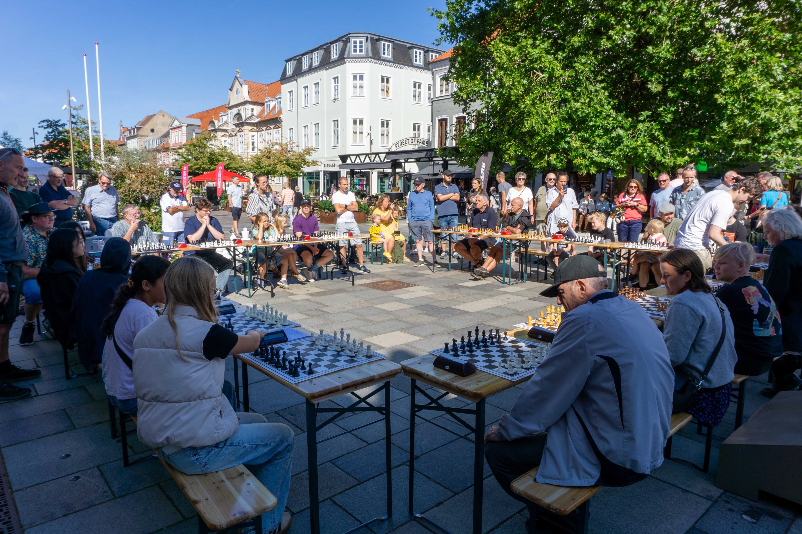 You are currently viewing Gågadeskak i Horsens