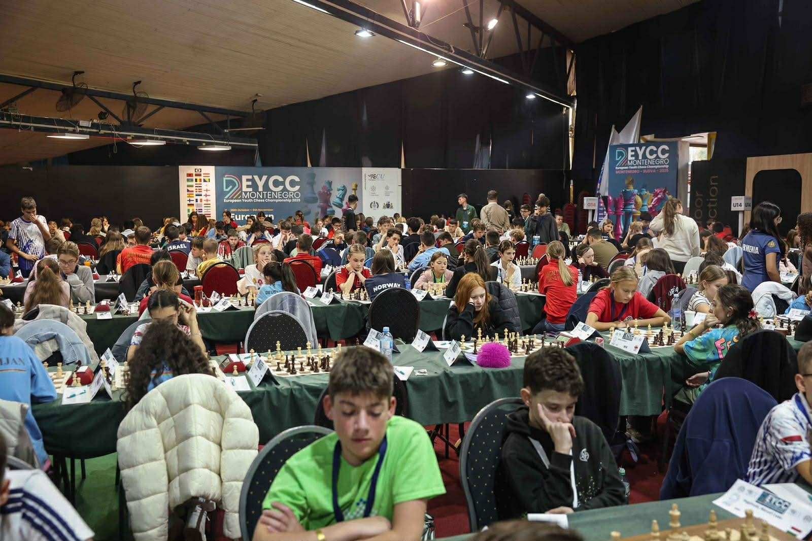 Read more about the article Udtagelser til U-EM