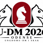 Ungdoms-DM i Odense