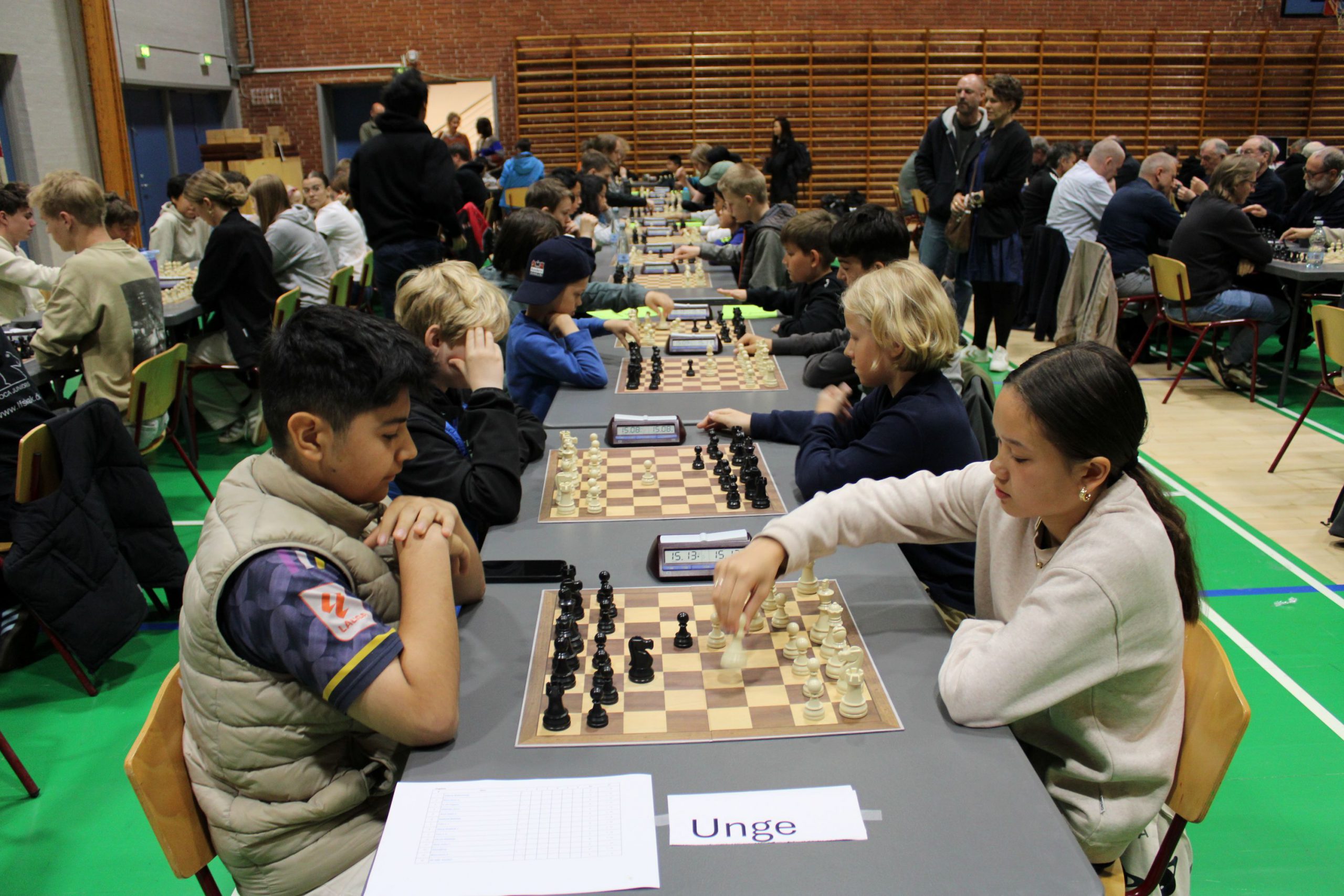 Read more about the article U-DM i Odense
